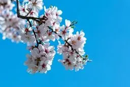 پیش‌بینی هوای همدان؛ یکشنبه ۱۰ فروردین ۱۴۰۴