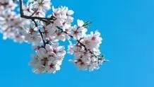 پیش‌بینی هوای همدان؛ یکشنبه ۱۰ فروردین ۱۴۰۴