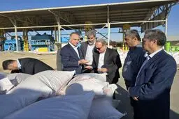 بازدید معاون وزیر جهاد کشاورزی از ایستگاه بذر نهران در همدان