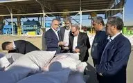 بازدید معاون وزیر جهاد کشاورزی از ایستگاه بذر نهران در همدان