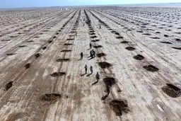 مقابله با بیابان‌زایی