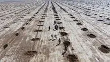 مقابله با بیابان‌زایی