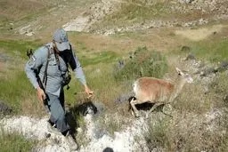 محمدامین خوارزمی محیطبان کرمانی از زندان آزاد شد