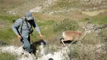 مصدومیت یک محیط‌بان لرستانی بر اثر شلیک گلوله شکارچیان غیرمجاز + عکس