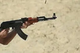 Iran police dismantle terrorist team in S Iran