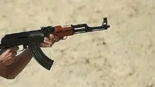 Iran police dismantle terrorist team in S Iran