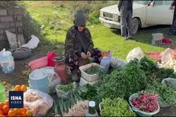 حال و هوای شب یلدا در یک بازارچه محلی در مازندران+ ویدئو