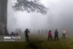  از المپیک پاریس و چهارگوشه ایران 
