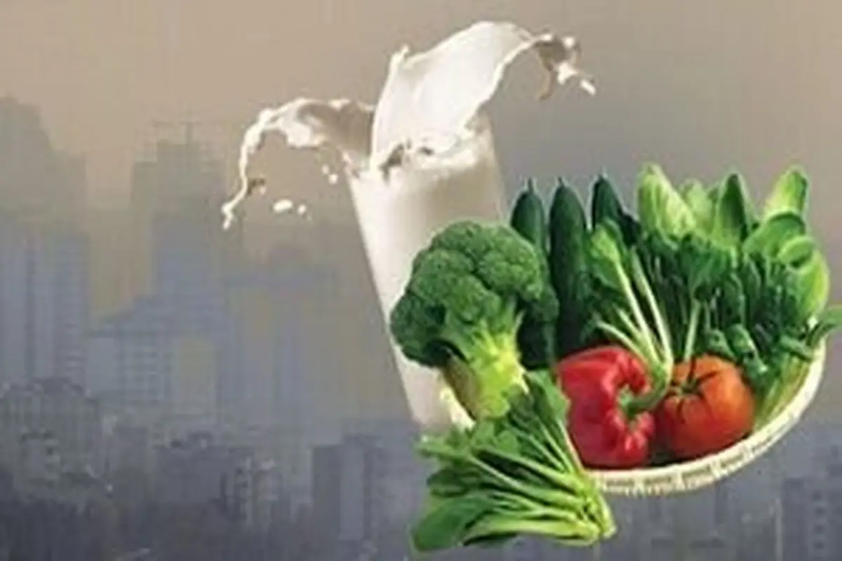 در روزهای آلودگی هوا چه خوراکی‌هایی مصرف کنیم؟