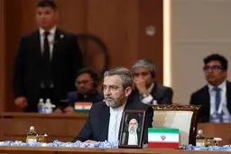 Iran a partner in SCO’s decisions: Caretaker FM