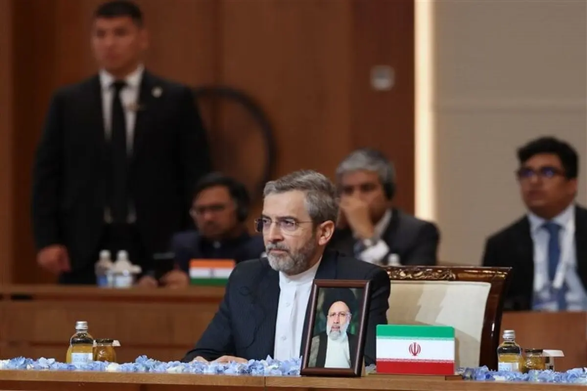 Iran a partner in SCO’s decisions: Caretaker FM