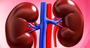 نجات کلیه‌ها از بیماری با این روش
