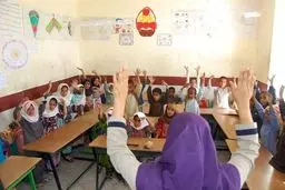 طبیعی است کسی که بخاطر رتبه پایین کنکور در رشته ای لیسانس گرفته و معلم شده، دانش آموزان را به مهاجرت ترغیب کند
