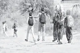 شوقی که اول مهر یک حسرت شد