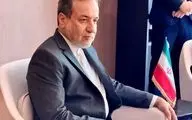 استقبال رئیس‌جمهور برزیل از عراقچی در بدو ورود به محل برگزاری اجلاس بریکس + ویدئو