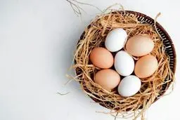 زرده تخم مرغ برای سالمندان مضر است؟
