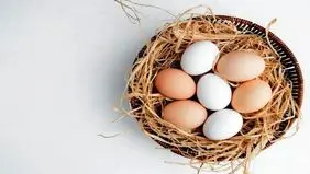 زرده تخم مرغ برای سالمندان مضر است؟
