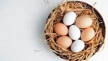 تولید تخم‌مرغ بدون وقفه ادامه دارد