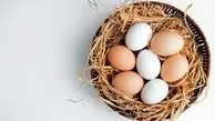 زرده تخم مرغ برای سالمندان مضر است؟

