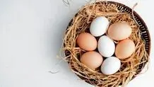 زرده تخم مرغ برای سالمندان مضر است؟
