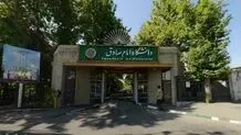 هشدار جمعی از فارغ التحصیلان دانشگاه امام صادق(ع) به جلیلی: عامل تکرار تجربه تلخ ۹۲ نشوید 
