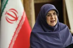 واکنش سخنگوی دولت به تحریم وزیر نفت
