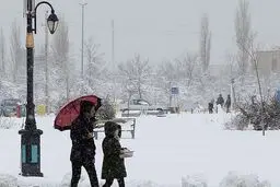جزییات نحوه فعالیت مدارس تهران در پی بارش برف