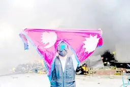 جرقه‌ای به نام «نپوکیدز»