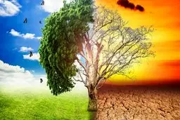 اگر عبرت نگیریم، می‌شویم درس عبرت