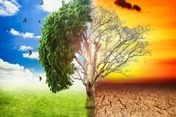 اگر عبرت نگیریم، می‌شویم درس عبرت