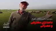 پتروشیمی غیرقانونی میانکاله؛ مشغول به کار دامداران؛ معترض و عصبانی