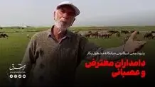 پتروشیمی غیرقانونی میانکاله؛ مشغول به کار دامداران؛ معترض و عصبانی