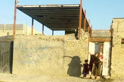 کوچ تلخ بنفشه‌ها