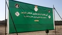 کارخانه گیاهان دارویی گچساران خاک می‌خورد+ جزییات 