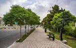 پیش بینی هوای گیلان فردا چهارشنبه 14 مرداد/ تداوم پایداری جوی و تقویت توده هوای گرم