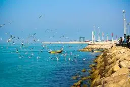 روزملی بوشهر و چند کمبود 