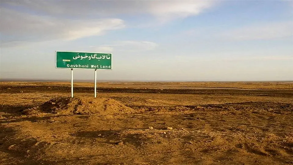 فاجعه انسانی در تالاب گاو‌خونی؛ مردم روستاهای اطراف سرطان خون گرفتند!