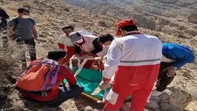 مرگ در دل طبیعت؛ حادثه‌ای مرگبار حین جمع‌آوری گیاهان خوراکی