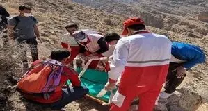 مرگ در دل طبیعت؛ حادثه‌ای مرگبار حین جمع‌آوری گیاهان خوراکی