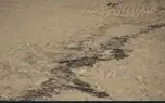 بخش‌هایی از جزیره هنگام دچار آلودگی نفتی شدند
