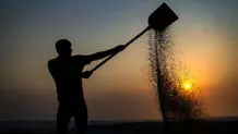 اختلاف ۲ هزار میلیارد تومانی دولت و کشاورزان قابل حل است ؟ 