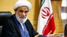 مجلس خبرگان، اجرایی و پارلمانی نیست، مجلس تشخیص ولایت فقیه و صیانت‌کننده از آن است

