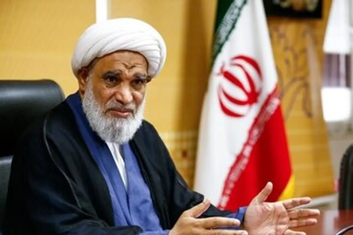 مجلس خبرگان، اجرایی و پارلمانی نیست، مجلس تشخیص ولایت فقیه و صیانت‌کننده از آن است


