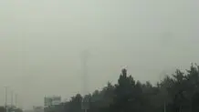 آلودگی هوا تهران را بلعید/ شاخص روی 143 قرار گرفت 

