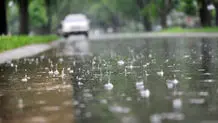 ویدئو دیدنی از بارش تابستانی در کاخ سعدآباد/ ویدئو

