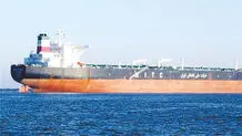 قد کوتاه طلای سیاه