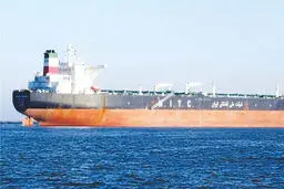 قد کوتاه طلای سیاه