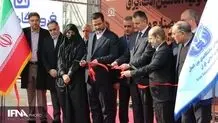 جهش ایران در تولید و کیفیت مواد اولیه صنایع چوبی