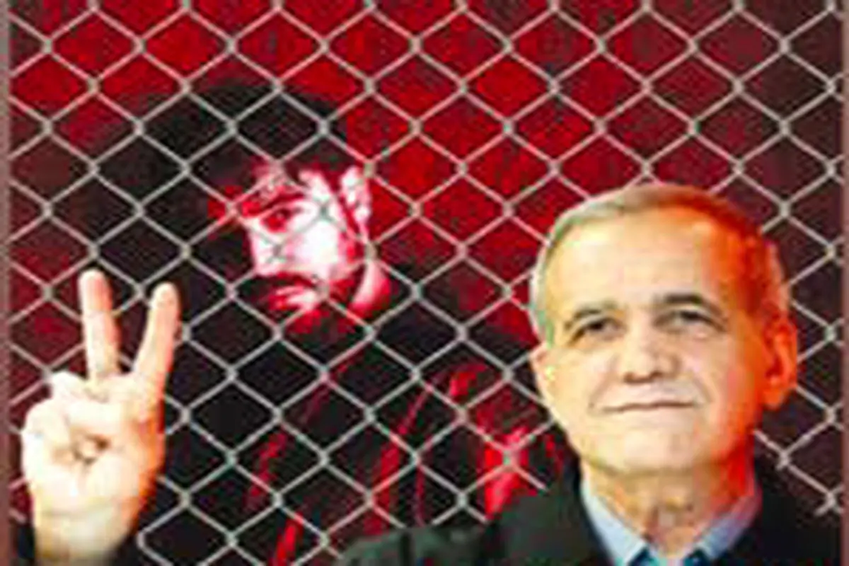 شروین حاجی‌پور  به زندان نرود

