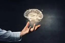با فراموشی خداحافظی کنید! 10 راهکار تقویت حافظه و تمرکز